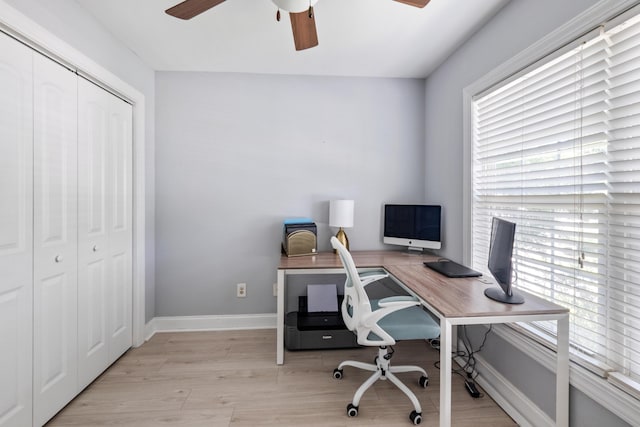 1250 White Tail Path, Charleston, SC 29414 - home office with ceiling fan, light wood-type flooring, and baseboards