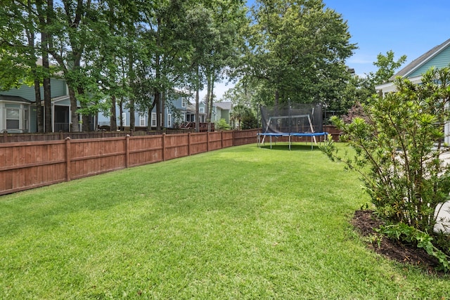 1250 White Tail Path, Charleston, SC 29414 - view of yard featuring a trampoline