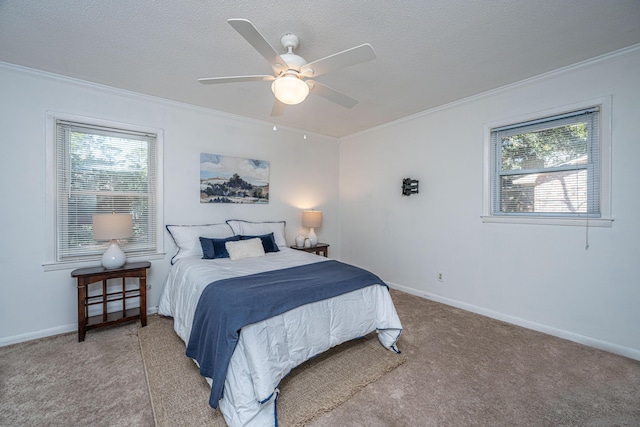 bedroom featuring ornamental molding, multiple windows, and a textured ceiling