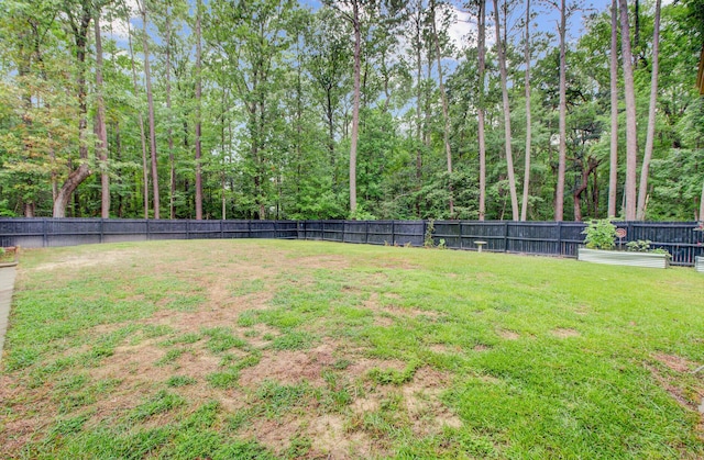 6190 Button Bush Dr, Ravenel, SC 29470 - view of yard