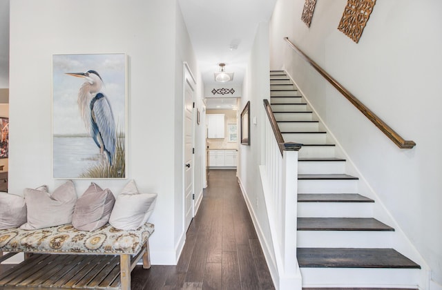 6190 Button Bush Dr, Ravenel, SC 29470 - stairs featuring wood finished floors and baseboards