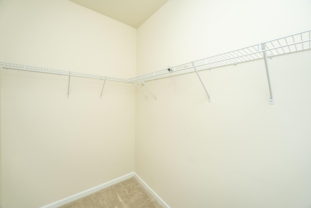 walk in closet featuring light colored carpet