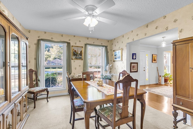 dining room with ceiling fan, crown molding, light wood-type flooring, and a textured ceiling