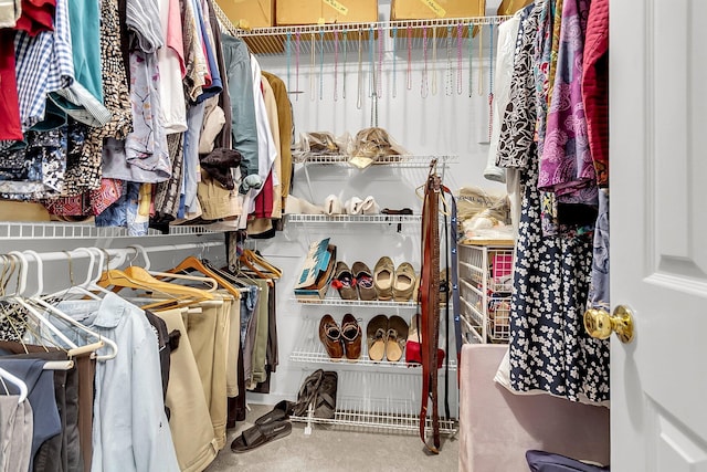 spacious closet with carpet flooring