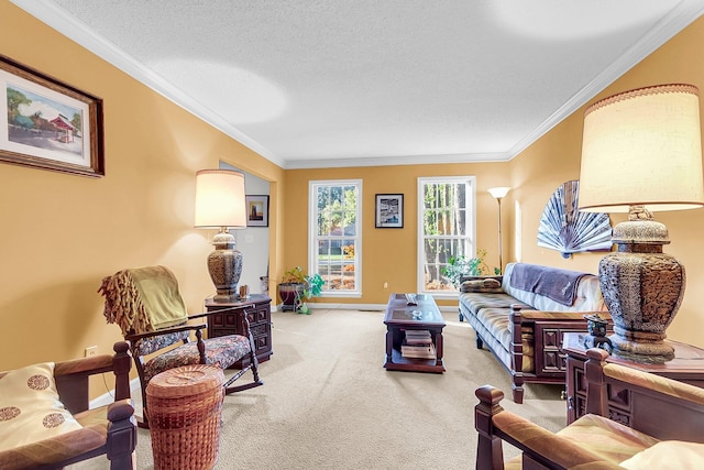 living room featuring carpet, crown molding, and a textured ceiling