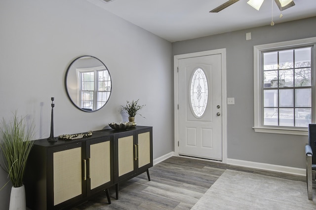 foyer with hardwood / wood-style flooring and ceiling fan