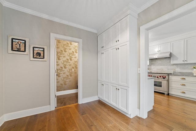 interior space featuring light hardwood / wood-style flooring and ornamental molding