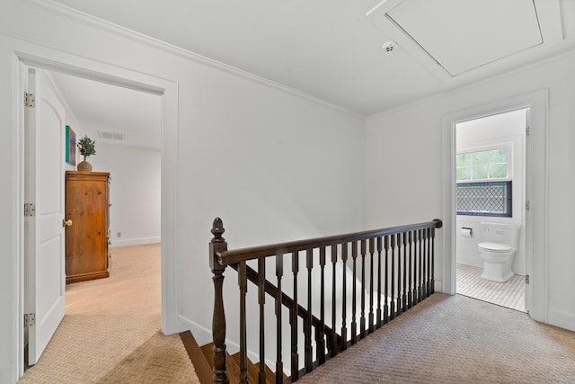 hall with light colored carpet and crown molding