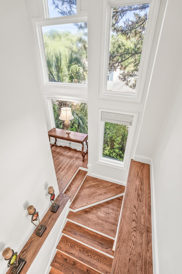 12 Port Tack, Hilton Head Island, SC 29928 - staircase with wood finished floors