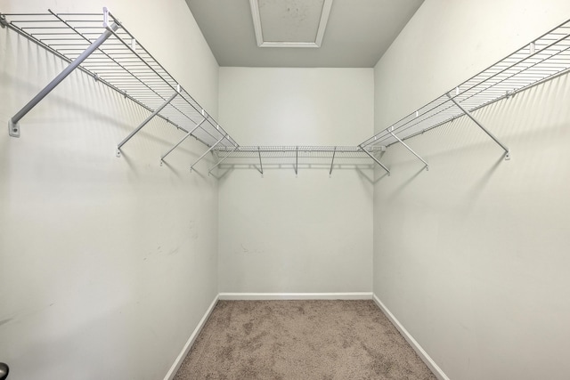 7690 High Maple Cir N, Charleston, SC 29418 - spacious closet with carpet floors and attic access