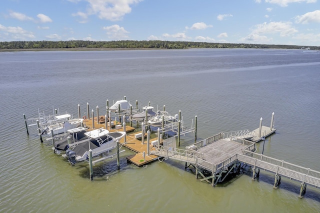 view of dock featuring a water view and boat lift