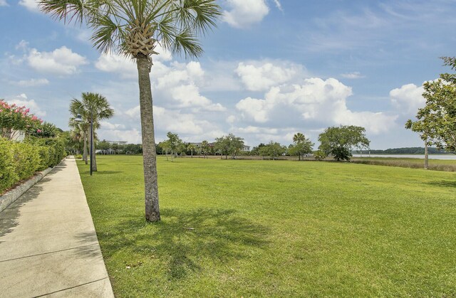 view of property's community featuring a lawn