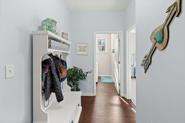 mudroom with dark wood-type flooring