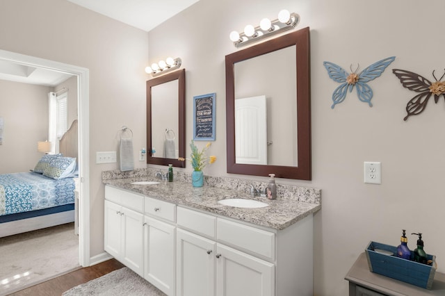 bathroom featuring wood-type flooring and vanity