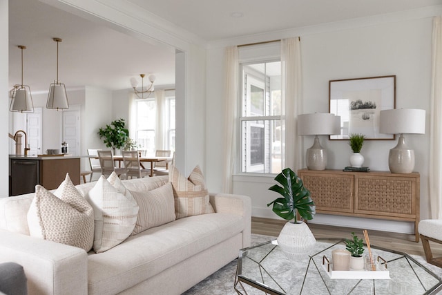 living room featuring a healthy amount of sunlight, ornamental molding, and hardwood / wood-style flooring