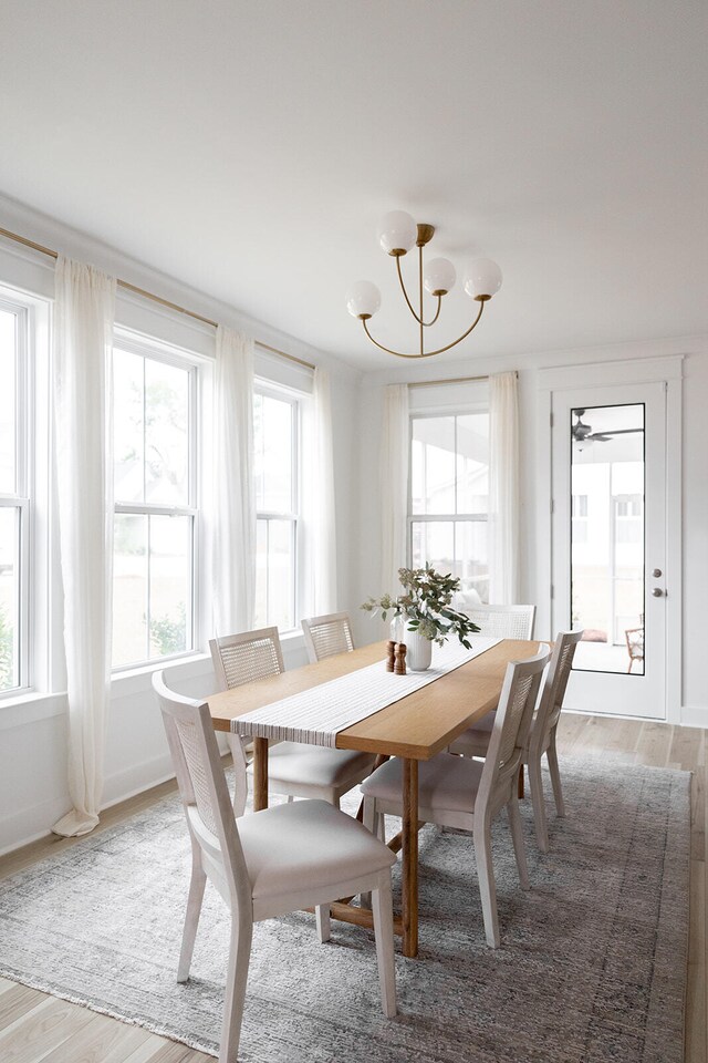 dining area featuring ceiling fan with notable chandelier, plenty of natural light, and hardwood / wood-style floors