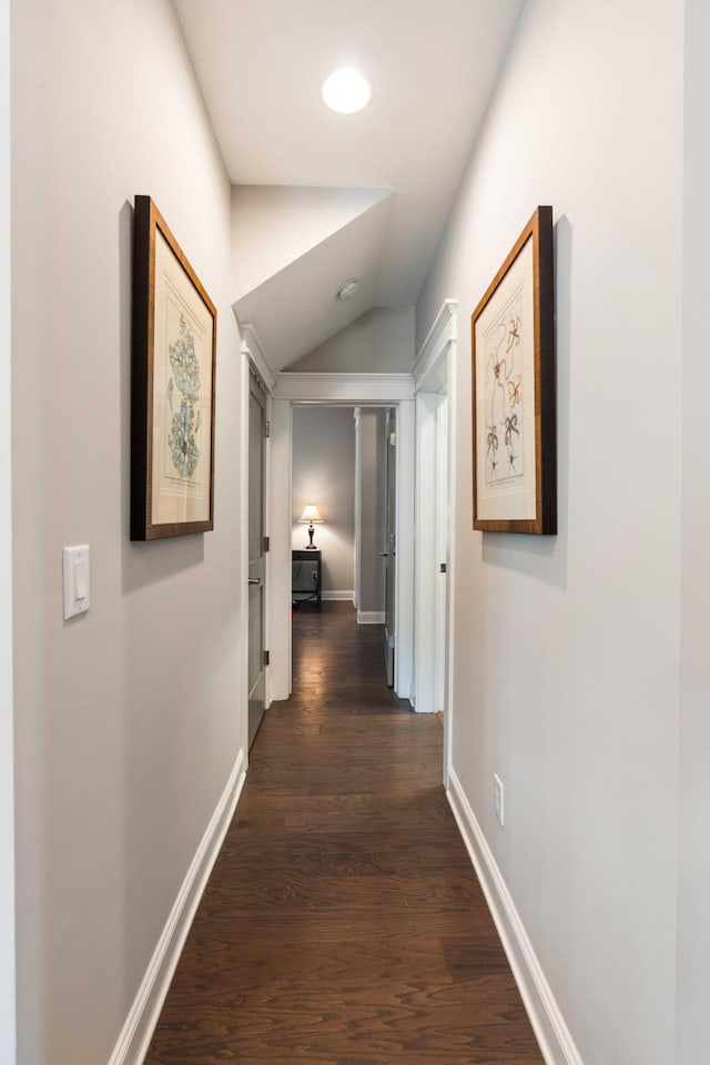 3726 Orion Ln, Mount Pleasant, SC 29466 - corridor featuring dark wood finished floors, lofted ceiling, and baseboards
