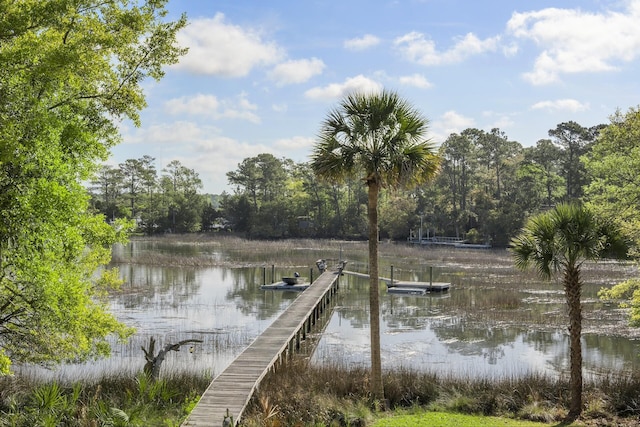 dock area featuring a water view