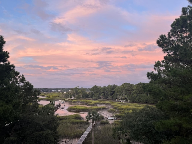 view of local wilderness with a water view