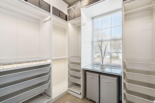 spacious closet featuring light hardwood / wood-style flooring