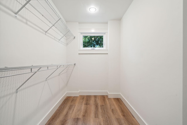 walk in closet with wood-type flooring