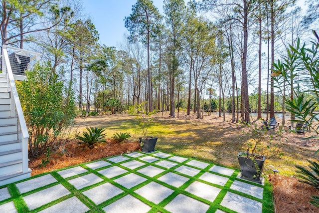 view of yard featuring a patio area