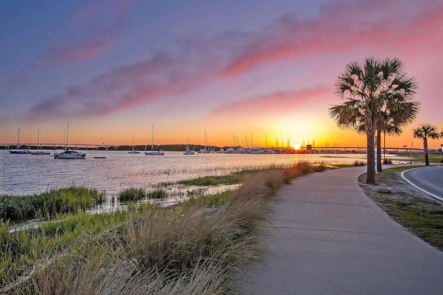 view of community featuring a water view