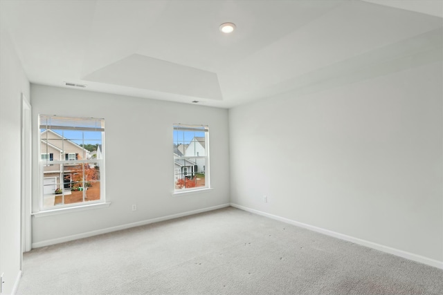 carpeted spare room featuring a raised ceiling