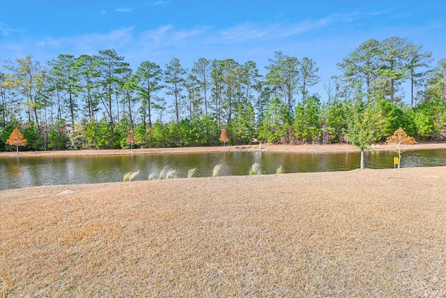 view of water feature