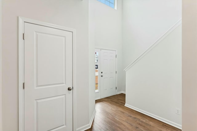 entryway featuring hardwood / wood-style flooring