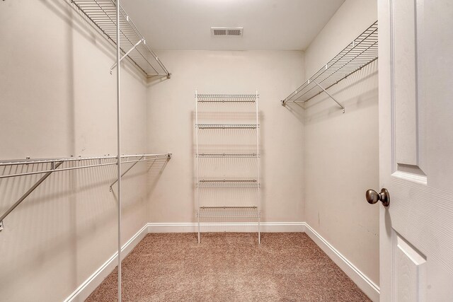 9646 Scarborough Ct, Summerville, SC 29485 - spacious closet with carpet floors