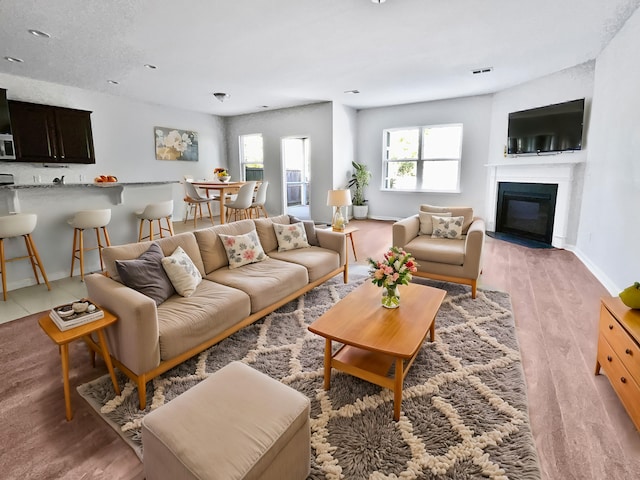 living room with light hardwood / wood-style flooring