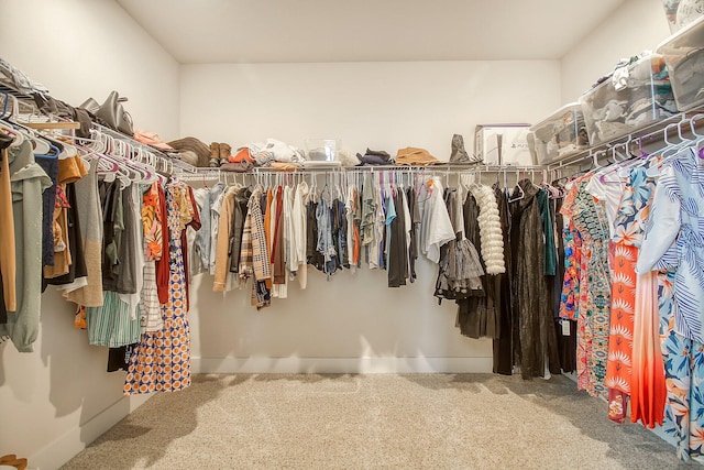 spacious closet with carpet flooring