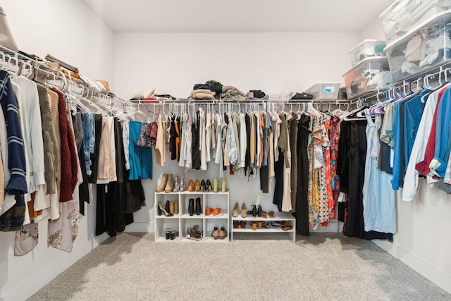643 Blueway Ave, Summerville, SC 29486 - walk in closet with carpet flooring