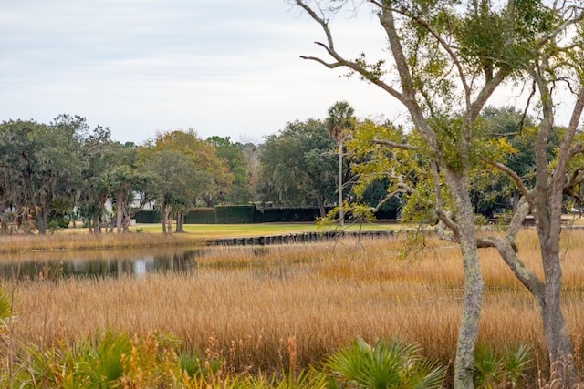 view of local wilderness featuring a water view