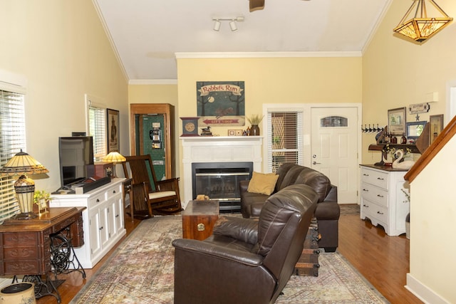 152 Mansfield Blvd, Charleston, SC 29418 - living room featuring wood finished floors, ornamental molding, and a glass covered fireplace