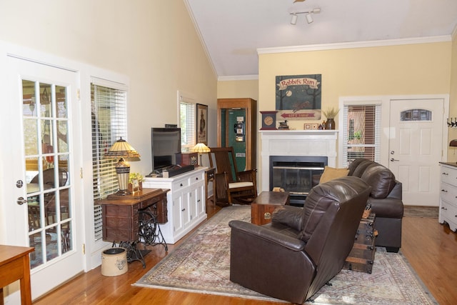 152 Mansfield Blvd, Charleston, SC 29418 - living area with crown molding, wood finished floors, and a glass covered fireplace
