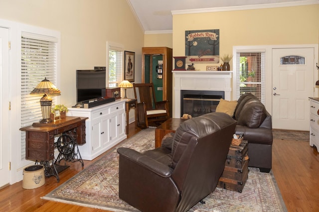 152 Mansfield Blvd, Charleston, SC 29418 - living room with ornamental molding, wood finished floors, a glass covered fireplace, and lofted ceiling