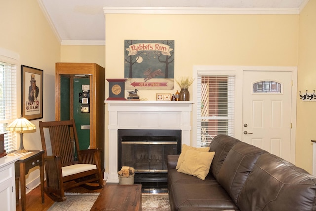 152 Mansfield Blvd, Charleston, SC 29418 - living area featuring crown molding, a glass covered fireplace, and plenty of natural light