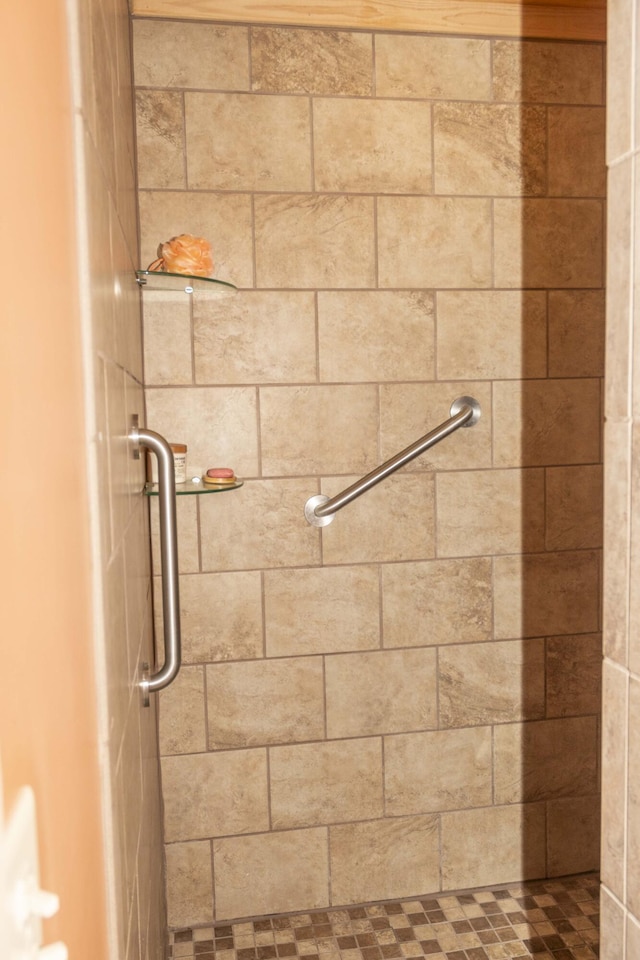 152 Mansfield Blvd, Charleston, SC 29418 - bathroom view of tiled shower