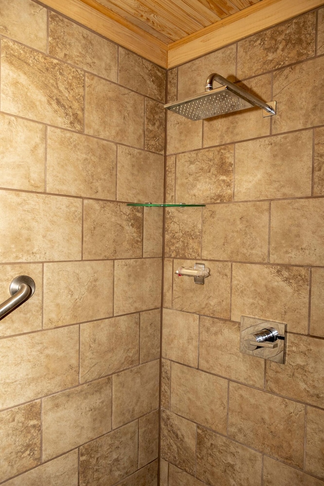 152 Mansfield Blvd, Charleston, SC 29418 - bathroom view of a tile shower