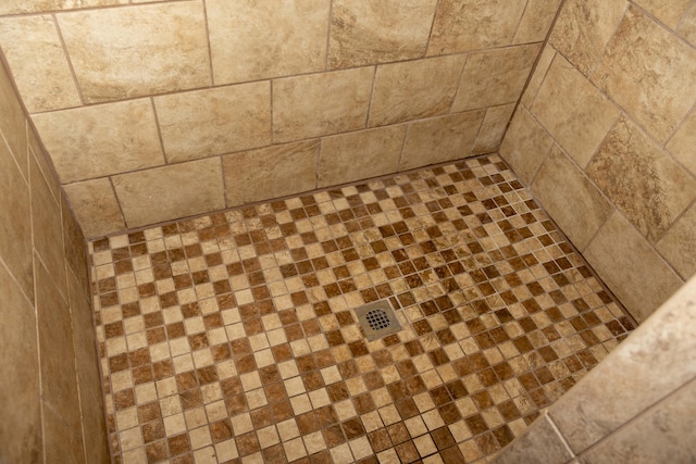 152 Mansfield Blvd, Charleston, SC 29418 - bathroom view of a tile shower