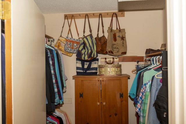 152 Mansfield Blvd, Charleston, SC 29418 - view of walk in closet