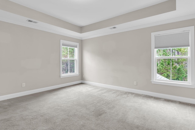 unfurnished room featuring ornamental molding, a raised ceiling, and carpet