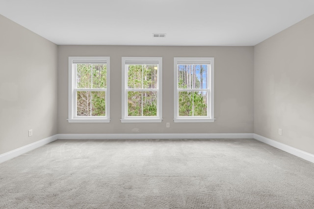 spare room with carpet floors