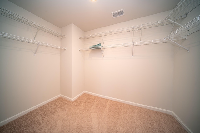 spacious closet with carpet