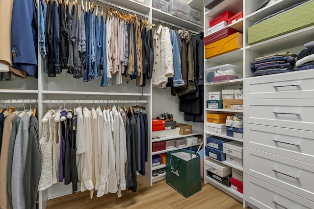 145 Pier View St Unit 407, Charleston, SC 29492 - spacious closet with wood finished floors