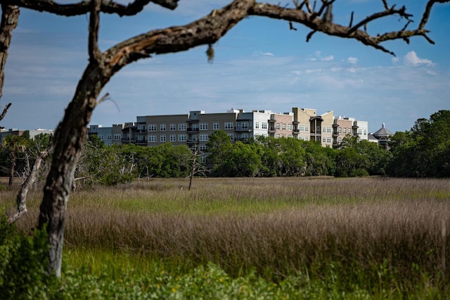 145 Pier View St Unit 407, Charleston, SC 29492 - view of community