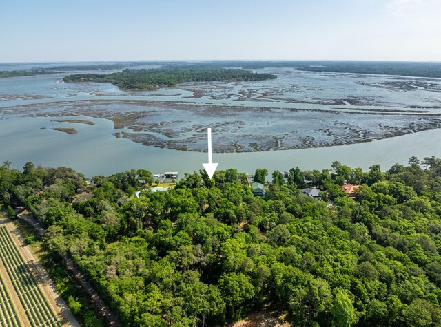 16 Comfort Pt, Saint Helena Island, SC 29920
