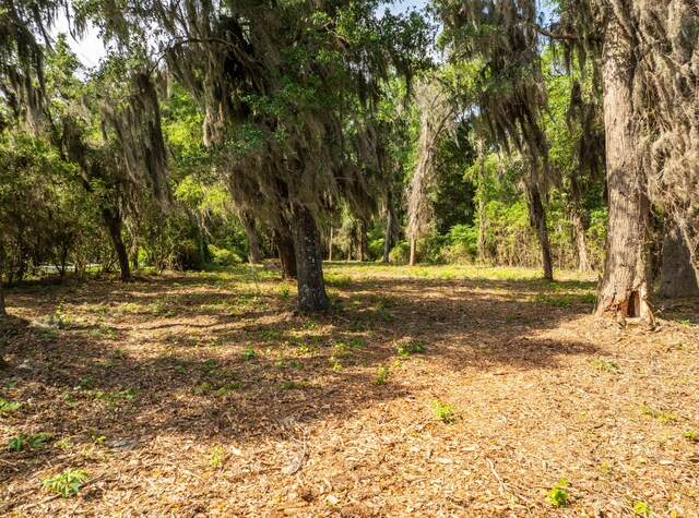 16 Comfort Pt, Saint Helena Island, SC 29920